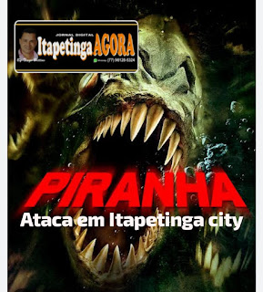 ATAQUES DE "PIRANHAS" ATERRORIZAM BANHISTAS DO RIO CATOLÉ EM ITAPETINGA