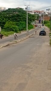 ITAPETINGA: COMUTRAN SEGUE FIRME NA RETIRADA DE ANIMAIS SOLTOS EM VIA PÚBLICA - Fala Livre