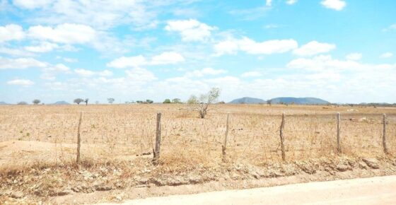 ESTIAGEM PROLONGADA PREOCUPA PRODUTORES RURAIS EM ITAPETINGA E REGIÃO – Sudoeste Hoje