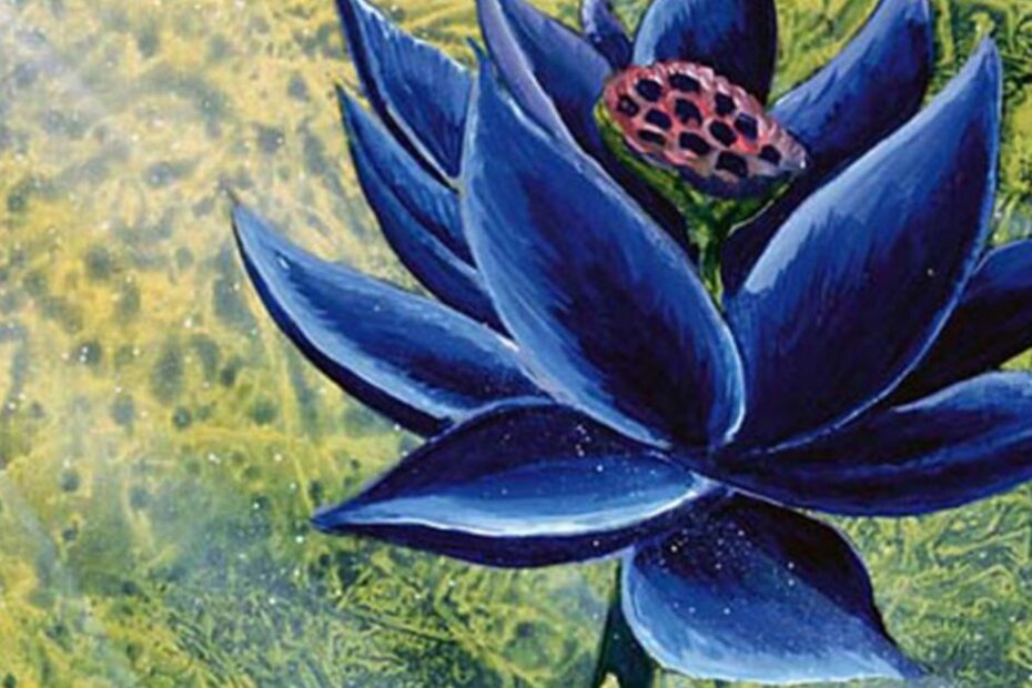 Magic: The Gathering Black Lotus é vendido por US$ 3 milhões