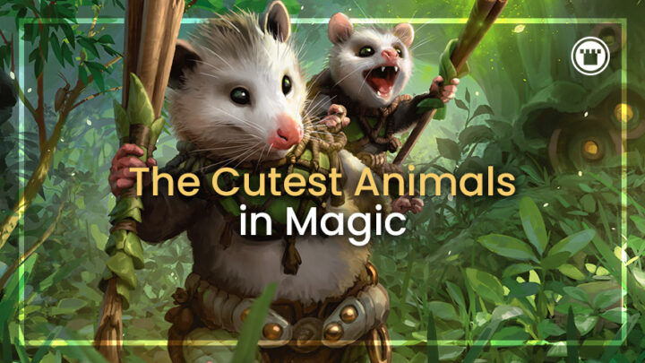 Os animais mais fofos da magia Os animais mais fofos da magia