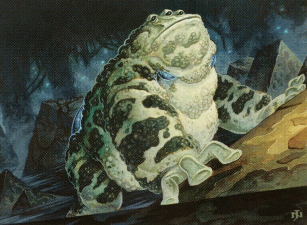 Vencedores semanais 2024 – 33