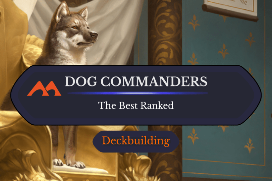 Os 16 melhores comandantes de cães em magia classificados