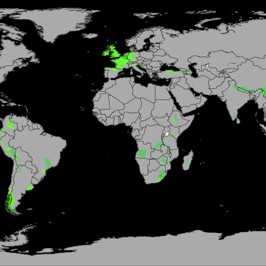 Frentes frias oceanicas dominam junho no Sul e Sudeste