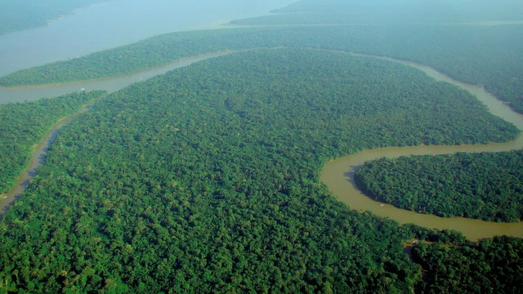 Mapbiomas: brasil perdeu 14% da vegetação nativa em 41 anos; veja o raio-x por bioma