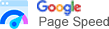 Google Page Speed Test